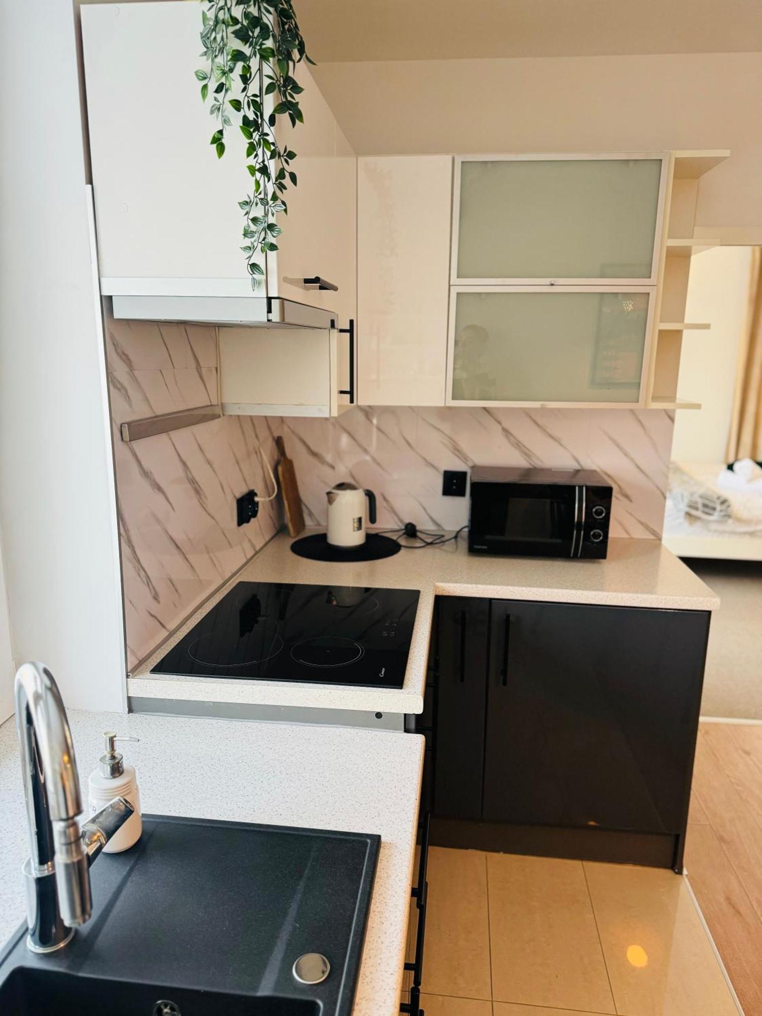 Villa Vincentow Myślenice Dış mekan fotoğraf